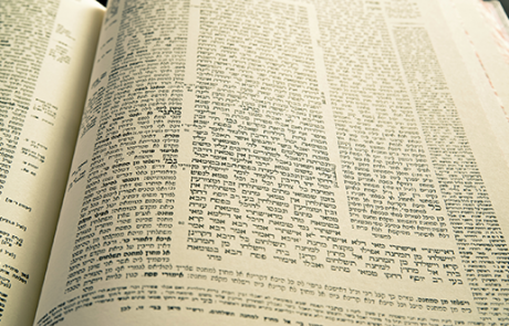 סיום מסכת תמיד בתשעה באב