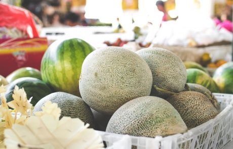 כלאים באבטיח ומלון