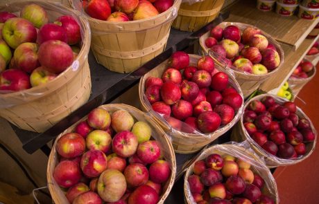 מדיני טבל וערלה