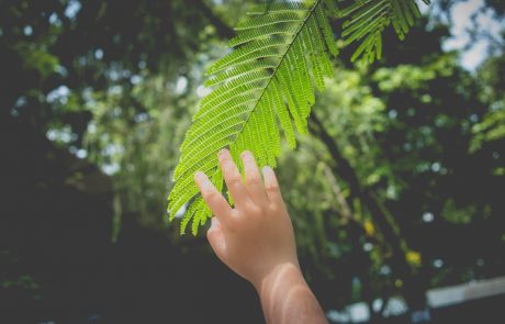 נגיעה במוקצה