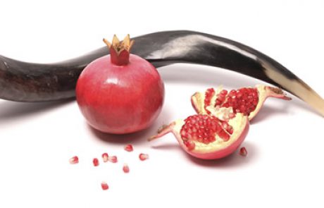 תקיעת שופר במבצעים