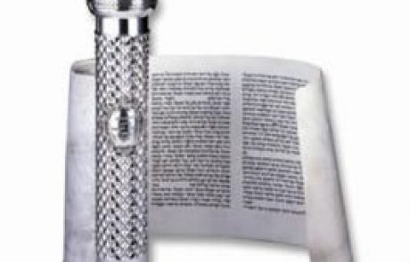 נגיע בידיים במגילת אסתר