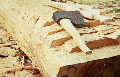 על עצים ושכנים