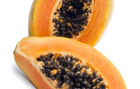 ברכת הפפאיה לדעת אדמו"ר הזקן