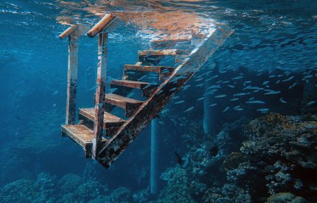 אבידה שנמצאה בקרקעית הים