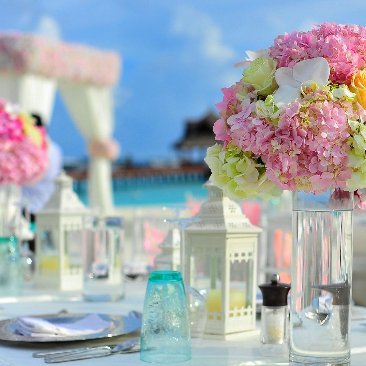 pexels-photo-169191 pexels-photo-169191