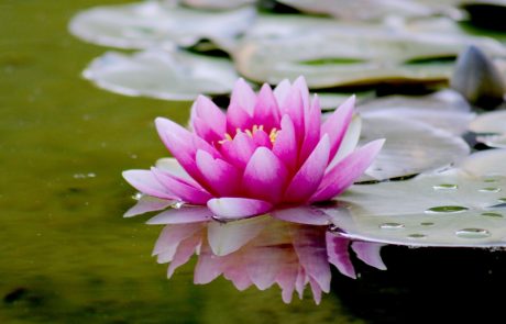 עשיית מסאג' בשבת