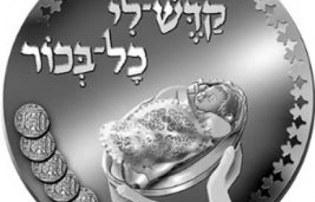 פדיון לתינוק בפגיה