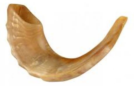 שופר שפיו הצר הורחב מעט